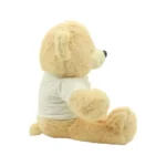 Promotional Teddy Bear Toys with Printable White Tshirt - Image 8