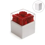 Forever Natural Flowers Gift Box White, Clear Acrylic Lid, 4Pcs Long Life Roses