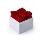 Forever Natural Flowers Gift Box White, Clear Acrylic Lid, 4Pcs Long Life Roses - Image 7