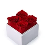 Forever Natural Flowers Gift Box White, Clear Acrylic Lid, 4Pcs Long Life Roses - Image 6