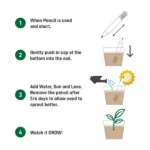 Plant A Pencil Kit - Image 2