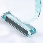 Round Clear Crystal Awards with Engraved Leaves in Premium Box - Image 2